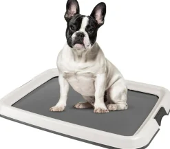 IRIS USA Square Pet Training Pad Holder
