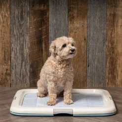 IRIS USA Square Pet Training Pad Holder