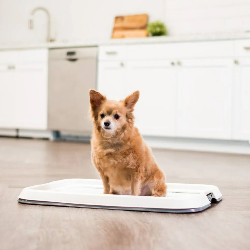 IRIS USA Square Pet Training Pad Holder