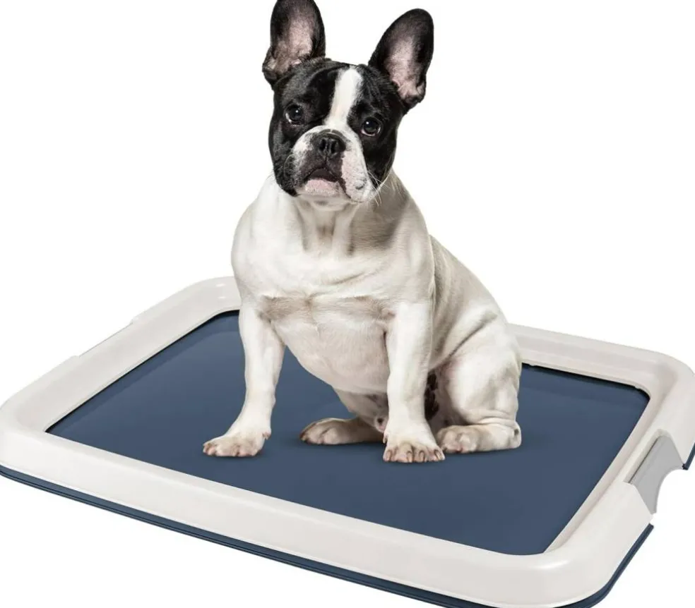IRIS USA Square Pet Training Pad Holder