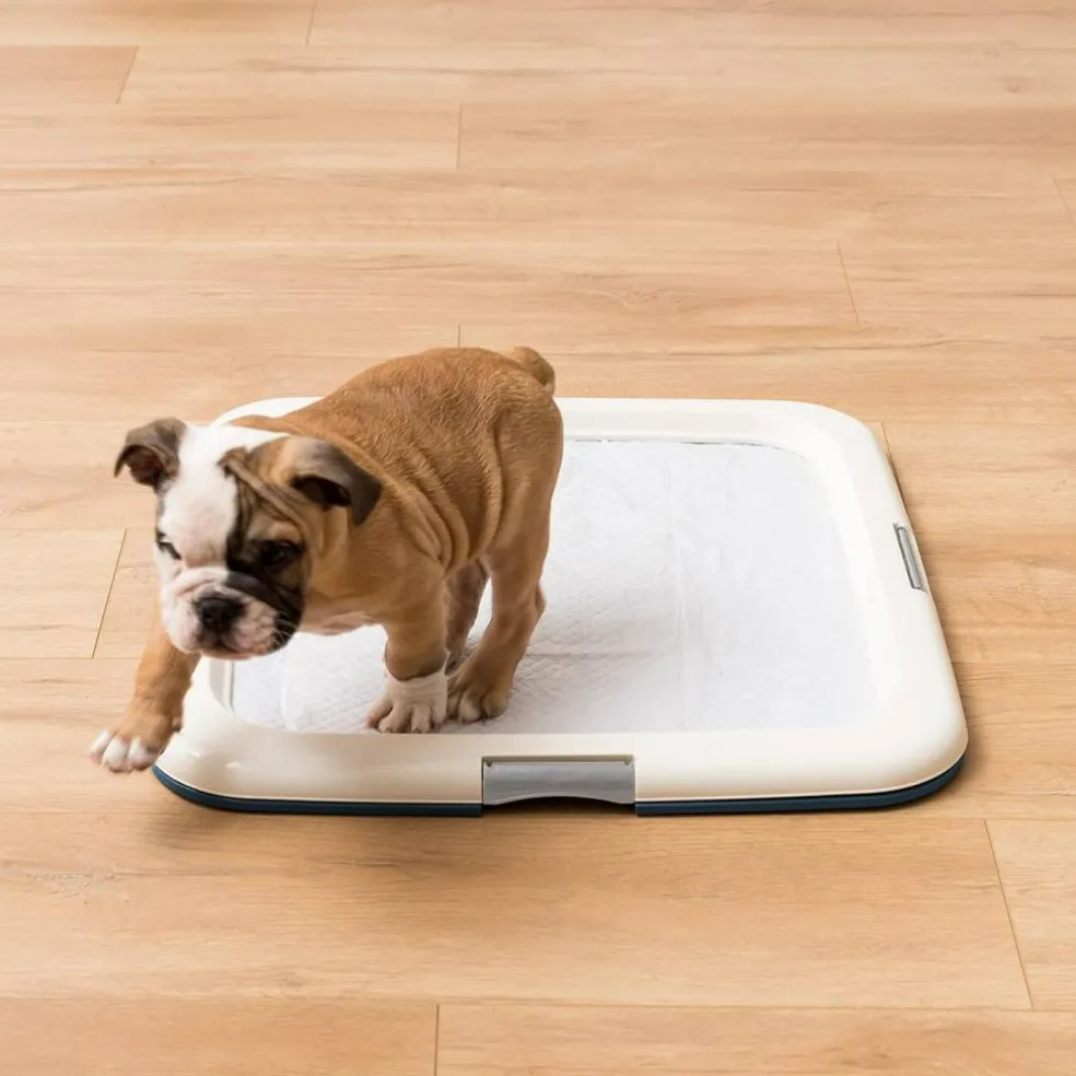 IRIS USA Square Pet Training Pad Holder