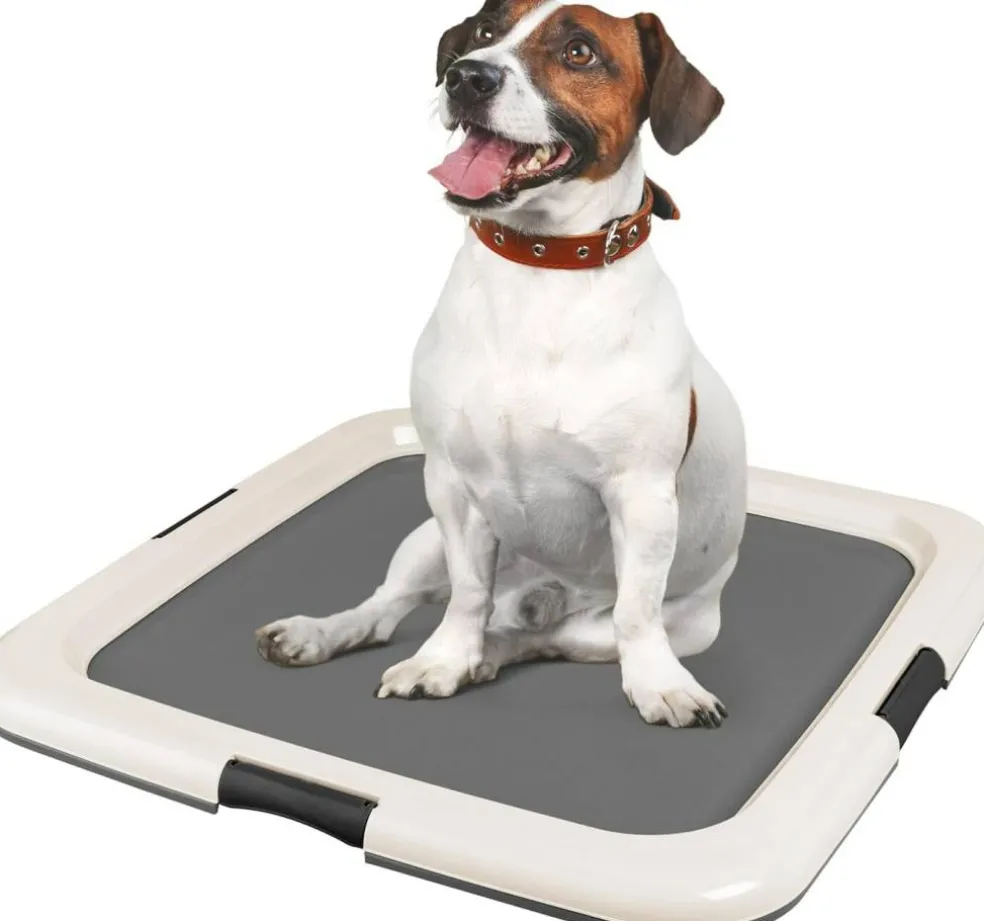 IRIS USA Square Pet Training Pad Holder