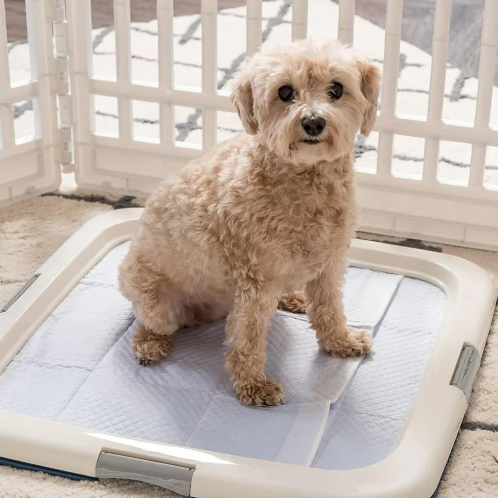 IRIS USA Square Pet Training Pad Holder