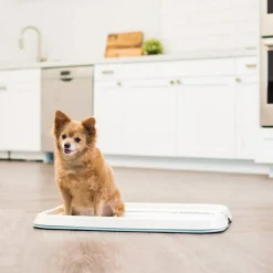 IRIS USA Square Pet Training Pad Holder