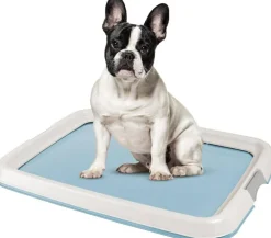 IRIS USA Square Pet Training Pad Holder