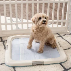 IRIS USA Square Pet Training Pad Holder