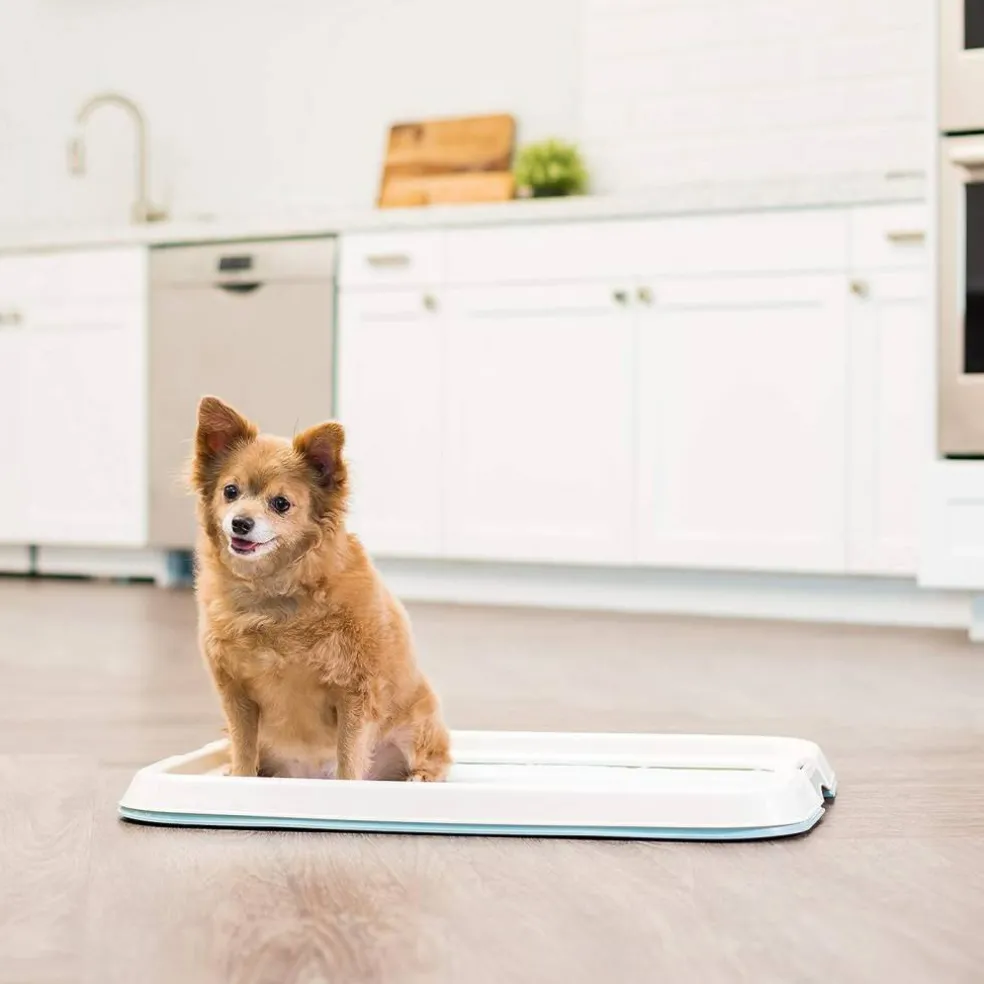 IRIS USA Square Pet Training Pad Holder