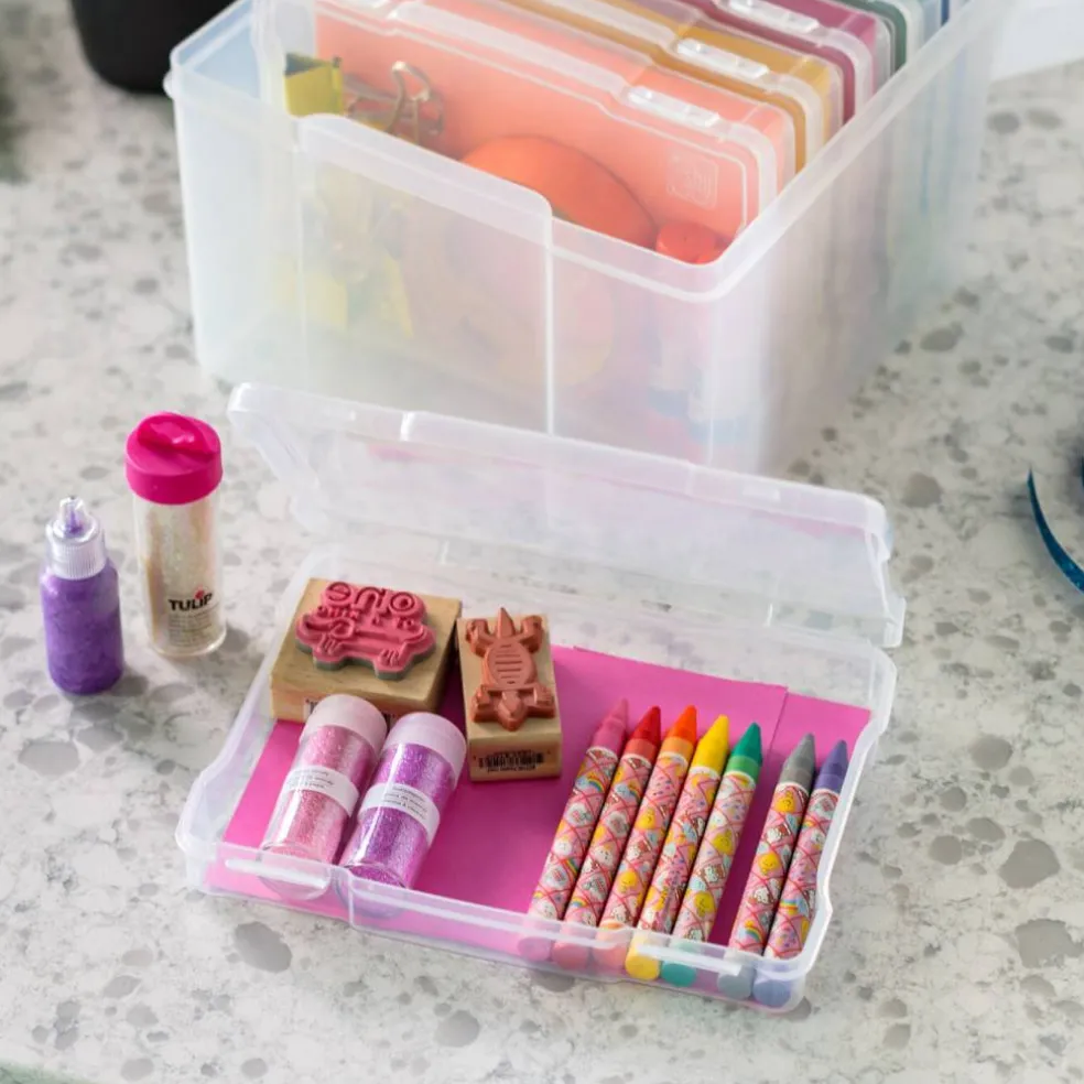 IRIS USA 5" x 7" Photo Storage and Embellishment Craft Keeper with 6 Cases, Clear