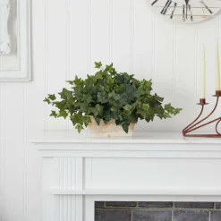 14" Ivy in White Planter