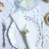 Iznik Floral White Dinner Plates