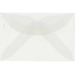 JAM Paper 3Drug Clear Translucent Vellum Envelopes 100ct.