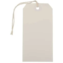 JAM Paper Medium Gift Tags with String