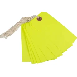 JAM Paper Medium Gift Tags with String