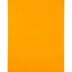 JAM Paper Shipping Labels, 8.5