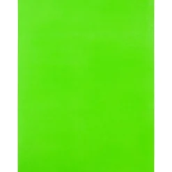 JAM Paper Shipping Labels, 8.5