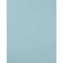 JAM Paper Shipping Labels, 8.5