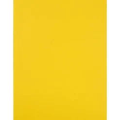 JAM Paper Shipping Labels, 8.5