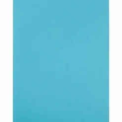 JAM Paper Shipping Labels, 8.5
