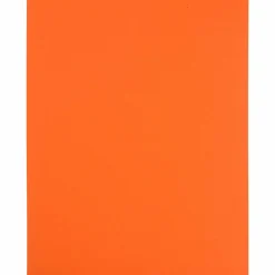 JAM Paper Shipping Labels, 8.5