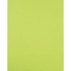 JAM Paper Shipping Labels, 8.5