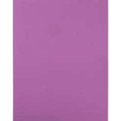 JAM Paper Shipping Labels, 8.5