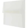 JAM Paper 5.25" x 7.25" Clear Vellum Invitation Envelopes, 25ct.