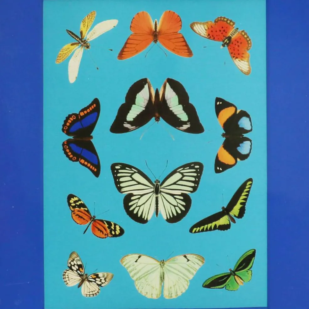 Jonathan Adler x Michaels 11" Blue Butterflies Tabletop Accent