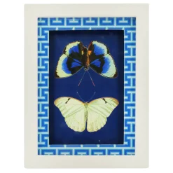 Jonathan Adler x Michaels 5.75" x 7.75" Blue & White Butterfly Art