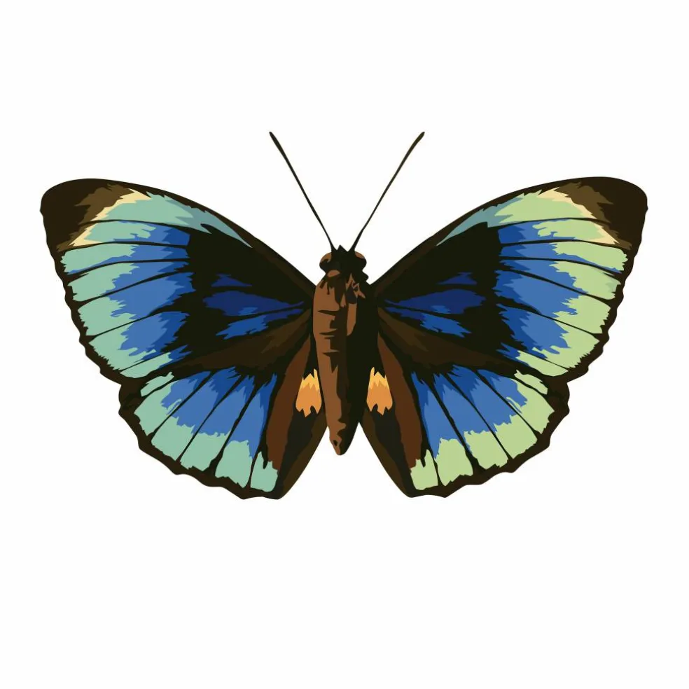 Jonathan Adler x Michaels 30" x 20" Butterfly Paint-By-Number Kit