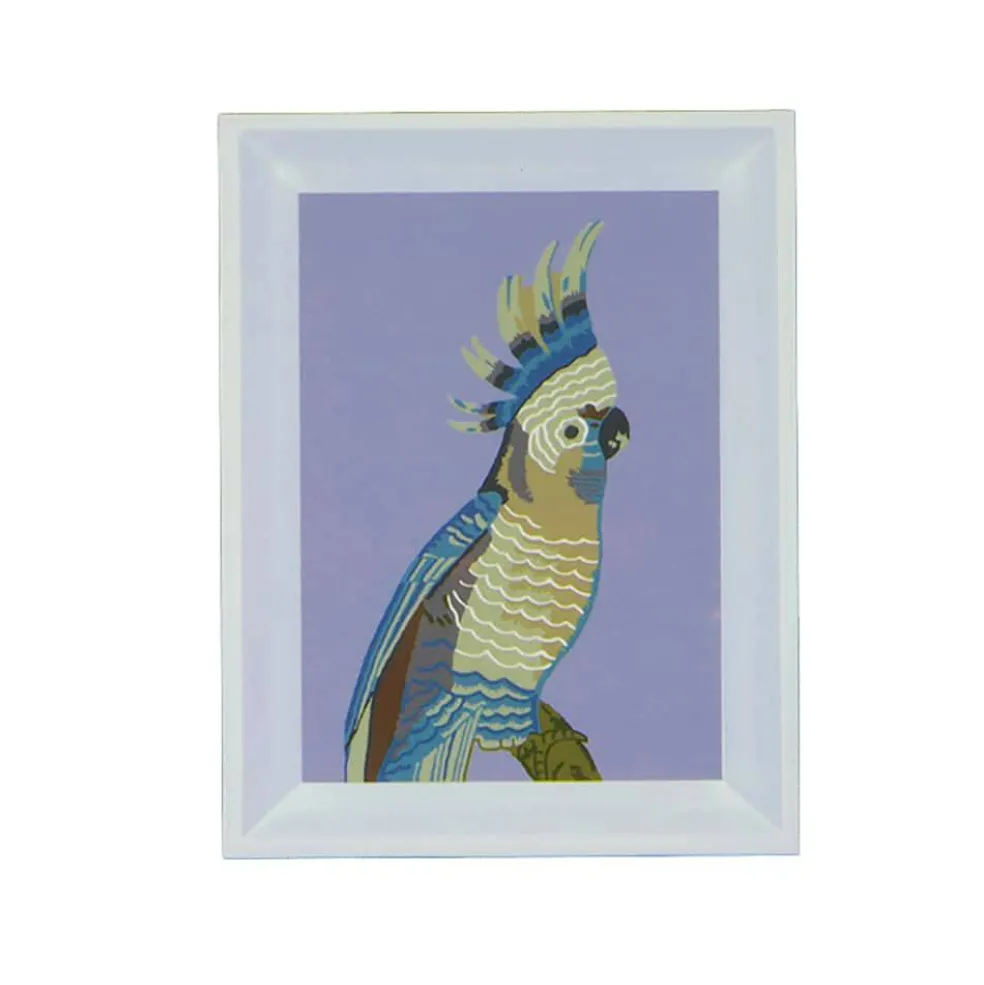 Jonathan Adler x Michaels 5" x 7" Cockatoo Paint-By-Number Framed Kit