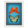 Jonathan Adler x Michaels 5.75" x 7.75" Orange & Yellow Butterfly Art