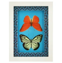 Jonathan Adler x Michaels 5.75" x 7.75" Orange & Yellow Butterfly Art