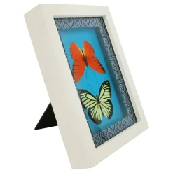 Jonathan Adler x Michaels 5.75" x 7.75" Orange & Yellow Butterfly Art