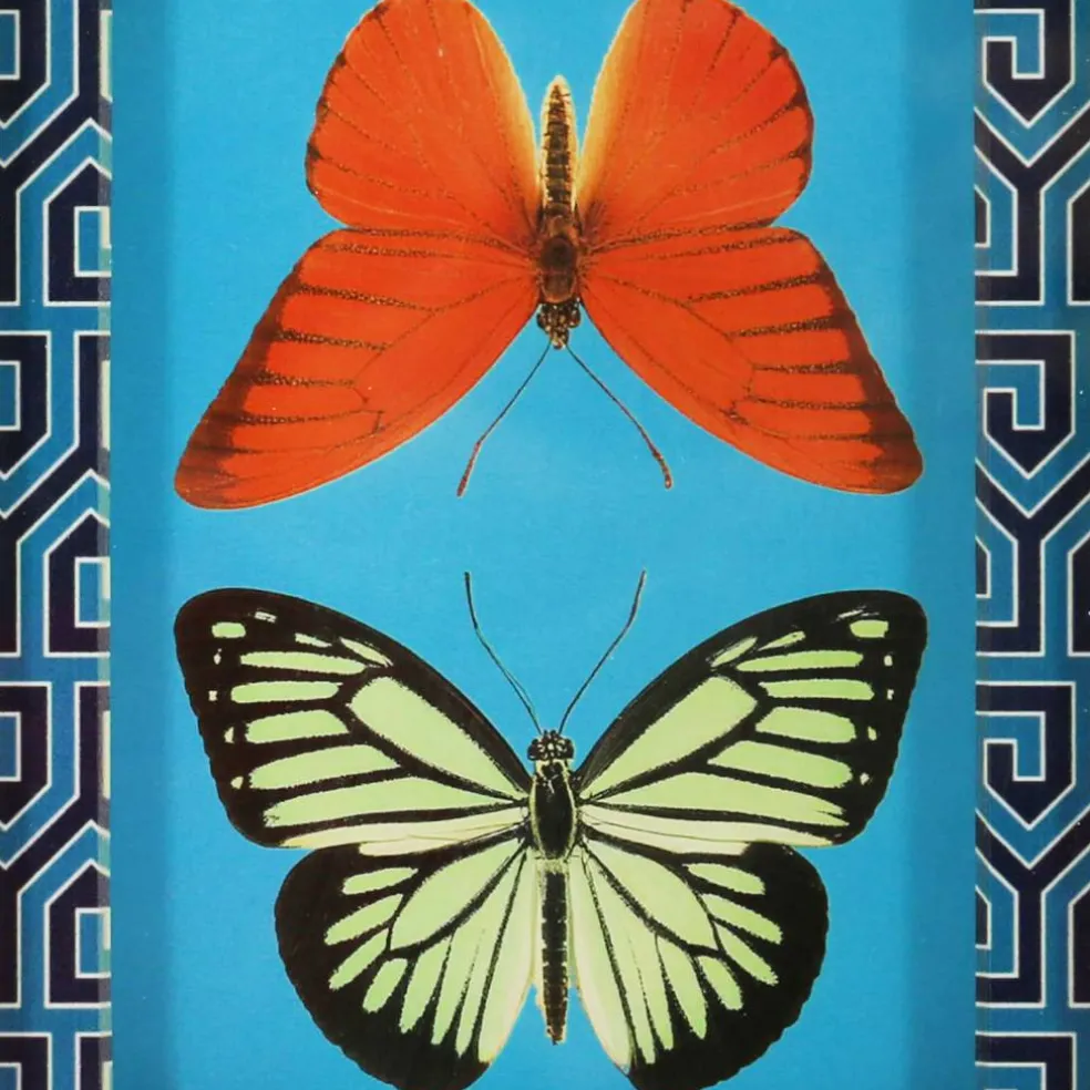 Jonathan Adler x Michaels 5.75" x 7.75" Orange & Yellow Butterfly Art