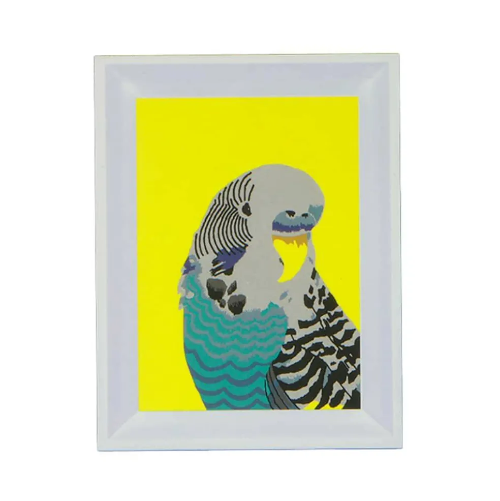 Jonathan Adler x Michaels 5" x 7" Parrot Paint-By-Number Framed Kit
