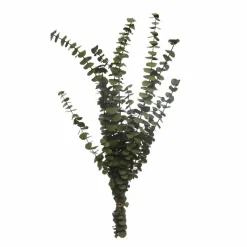 Kelly Green Dried Eucalyptus Bundle by Ashland®