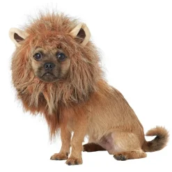 King of the Jungle Lion Dog Costume