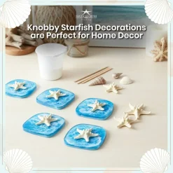 Knobby Starfish 24 Knobby Starfish White 1 1/4" to 2 1/4" Stars
