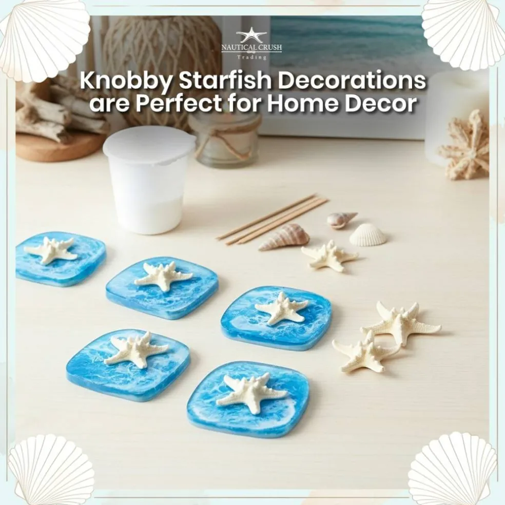 Knobby Starfish 24 Knobby Starfish White 1 1/4" to 2 1/4" Stars