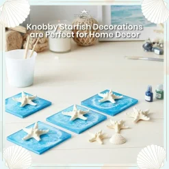 Knobby Starfish 48 Knobby Starfish White 1 1/4
