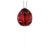 Ladybugs, 2ct. by Ashland®