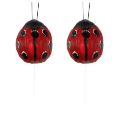 Ladybugs, 2ct. by Ashland®