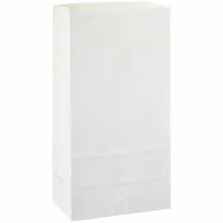 Large Paper Treat Bags by Celebrate It™