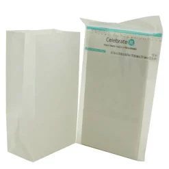 Large Paper Treat Bags by Celebrate It™