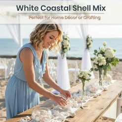 1lb Mixed White Real Sea Shells for Crafts, Large & Small Beach Seashell Set, Ocean Decor, Vase Fillers, Beach Party Decorations, Coastal Home & Bathroom Decor Supplies