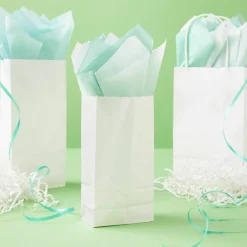 1lb. Treat Bags by Celebrate It™