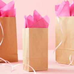 1lb. Treat Bags by Celebrate It™