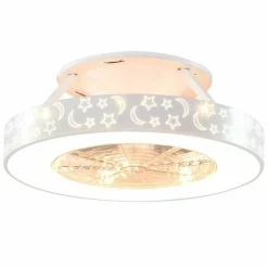 LED Ceiling Fan 23