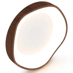 LED Ceiling Light 24W Wood Pattern with Metal Frame for Home Office Hallway