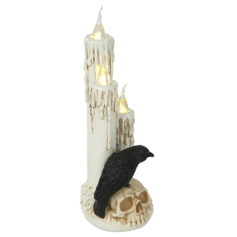 11" LED Lighted Skull & Raven Candle by Ashland®